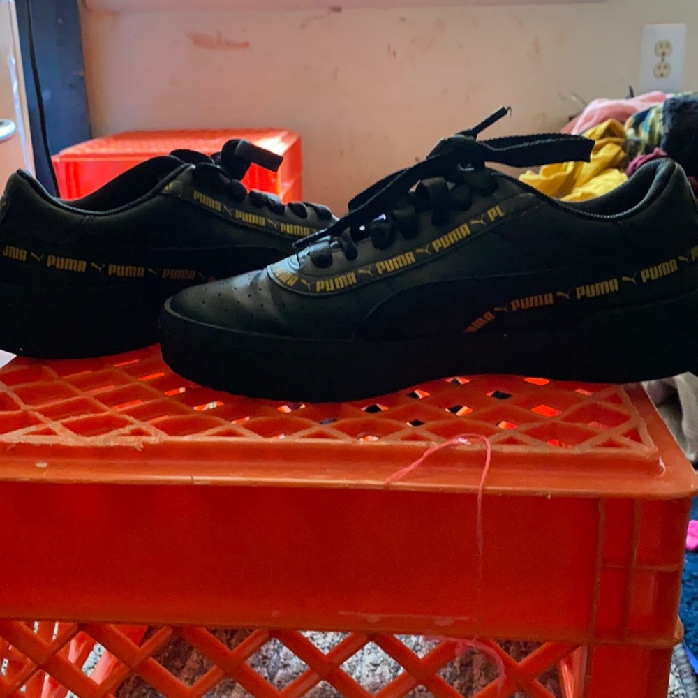 Pumas